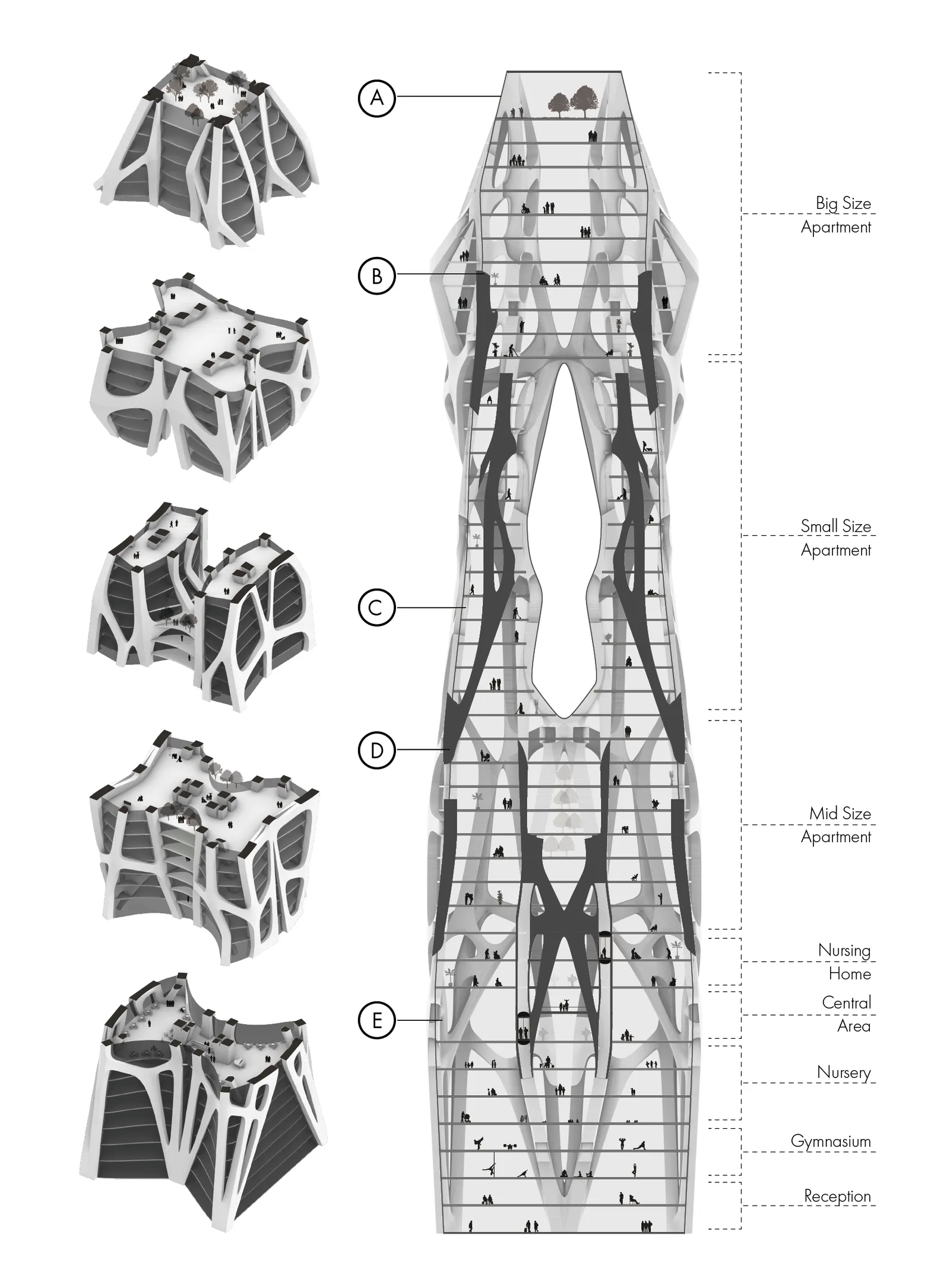 VT02 Exploded Sections