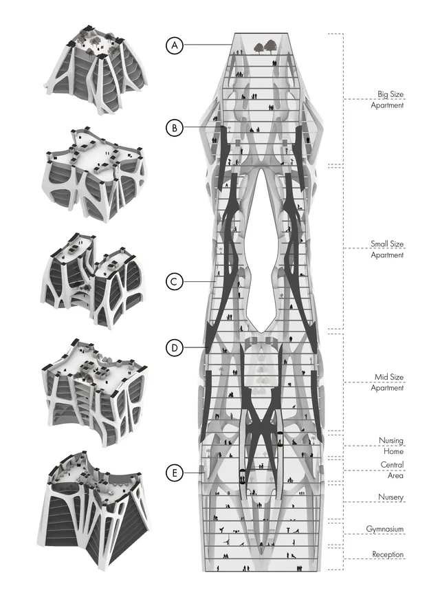 VT02 Exploded Sections